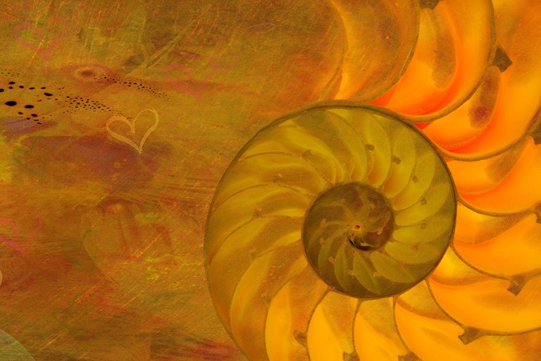 holistic events top 1