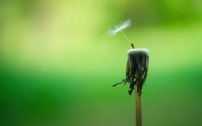 Blog - Holistic, spiritual and alternative event advertising tips 3 Advertise your Mindfulness events in 2023
