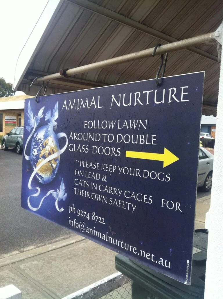 animal nurture 768x1029